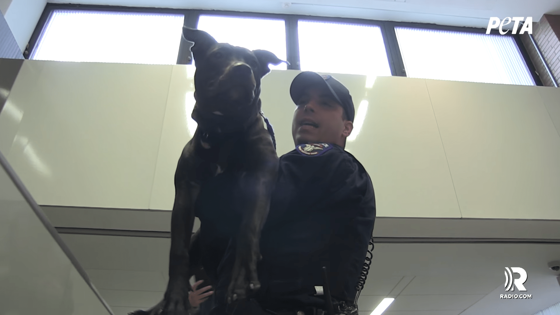 Ofițer găsește un câine legat în ploaie rece și decide să-i dea o casă pentru totdeauna